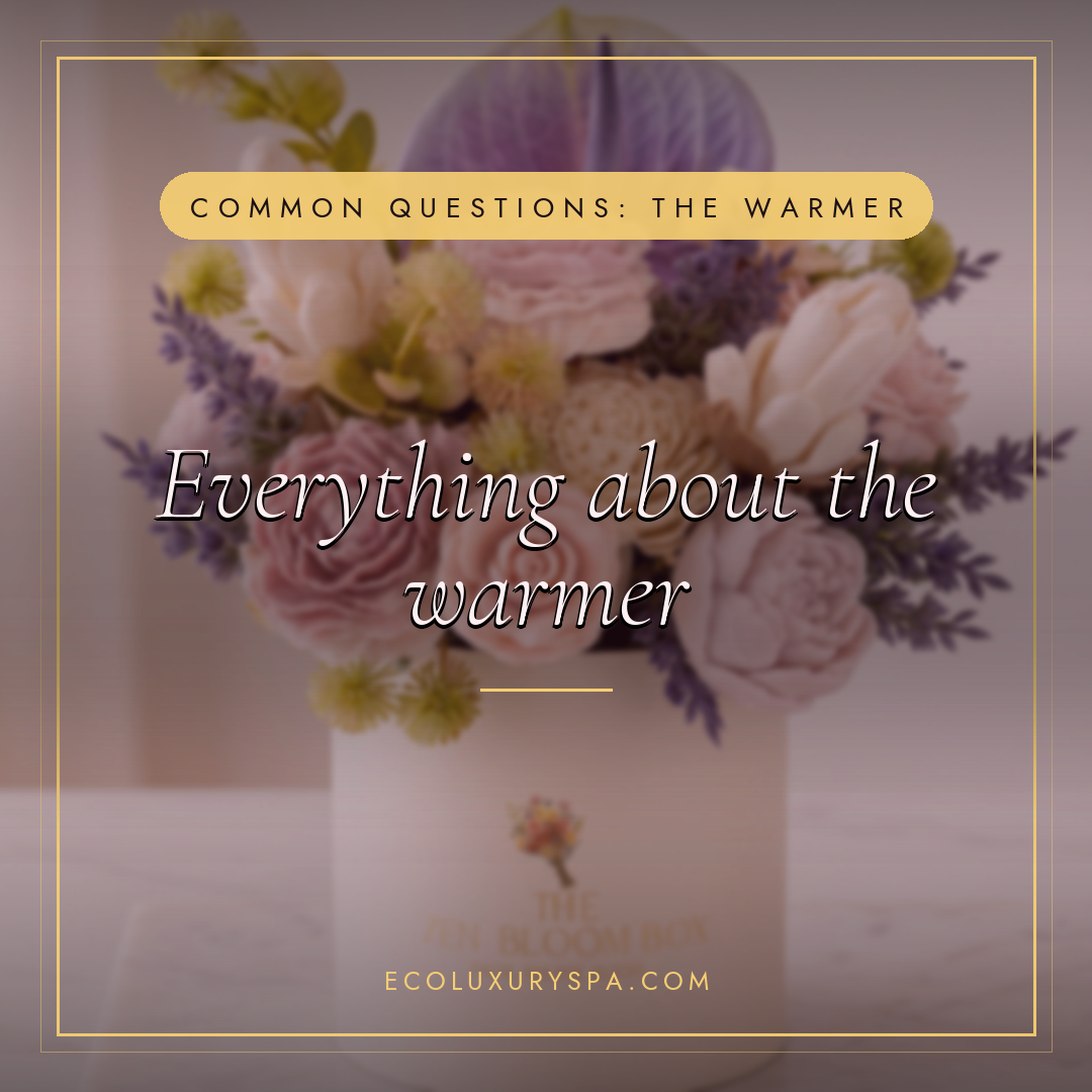 Everything about the warmer