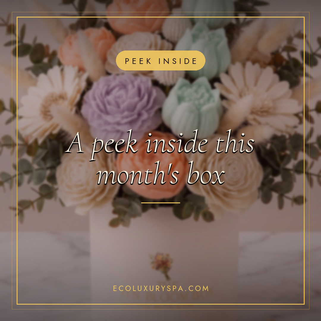 A peek inside this month's box