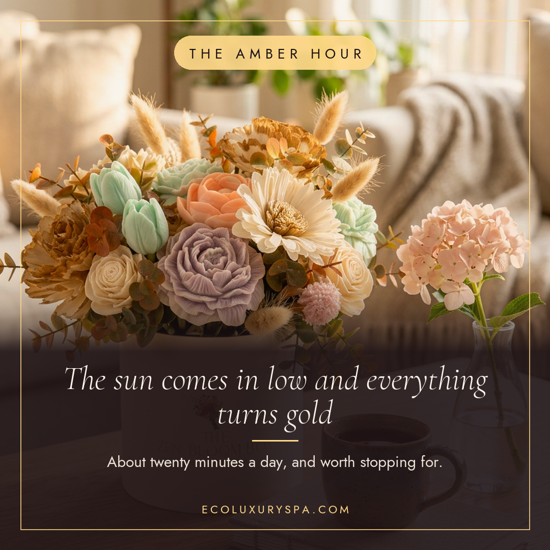 The amber hour