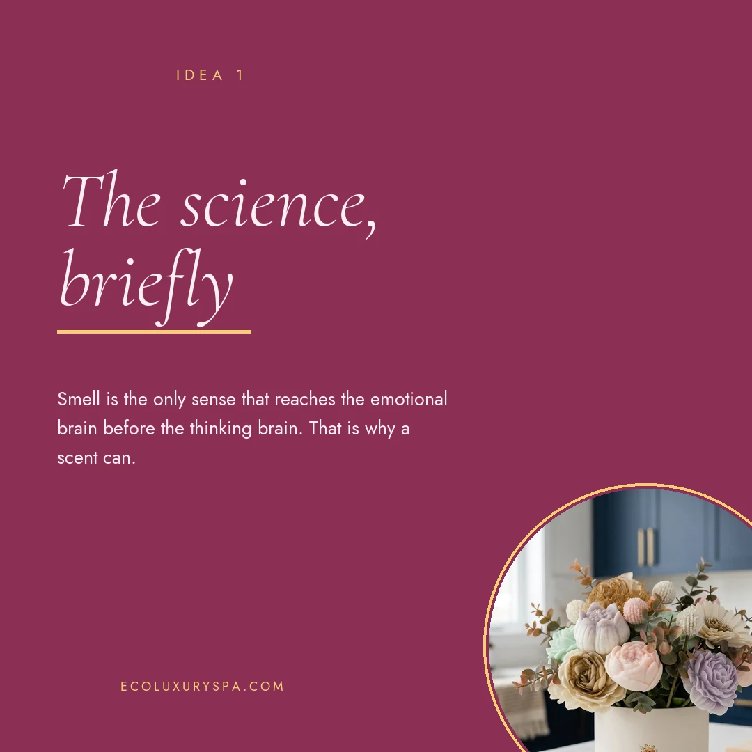 For the scent people slide 2