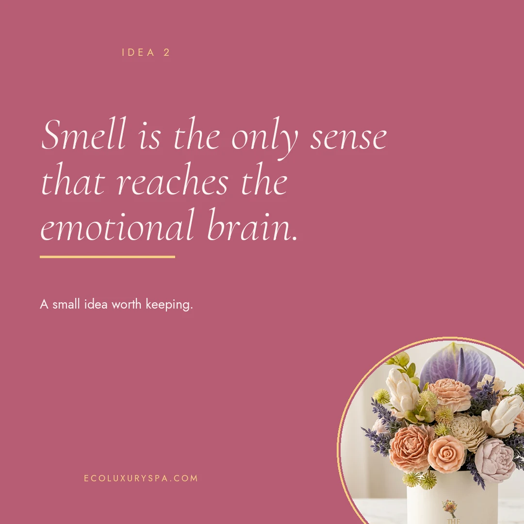 For the scent people slide 3