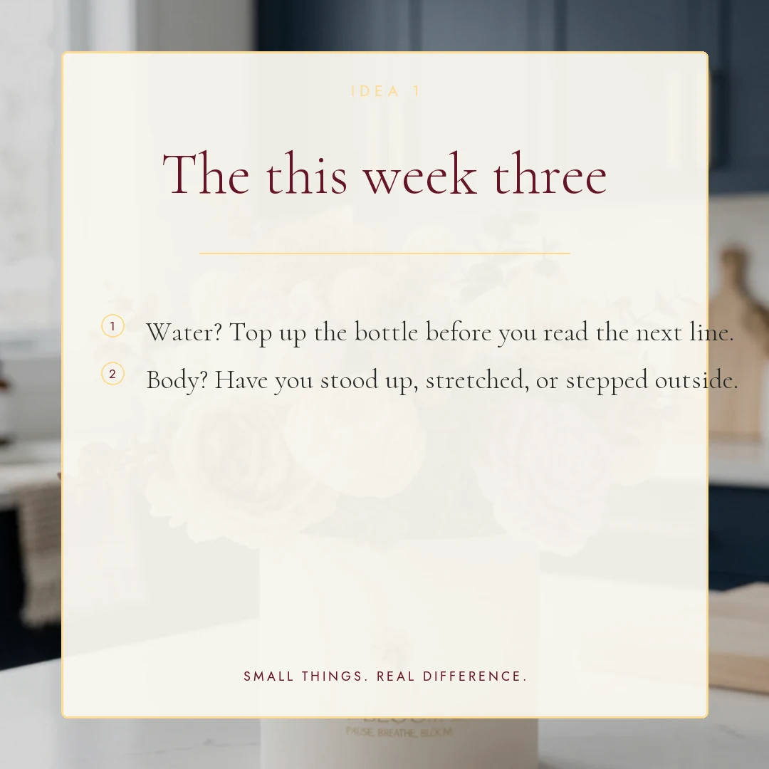 A quick wellness audit slide 2