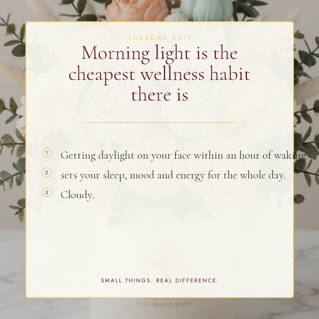 Morning light is the cheapest wellness habit there is
