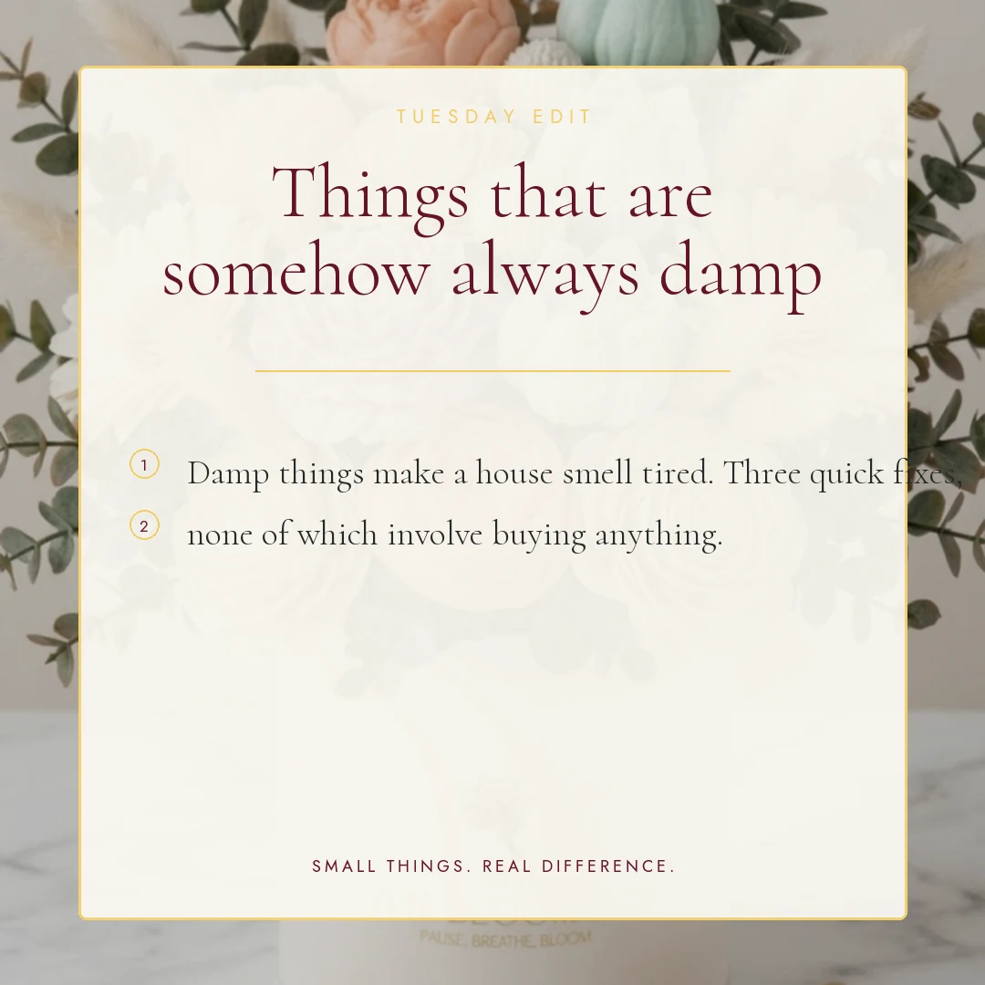 Things that are somehow always damp