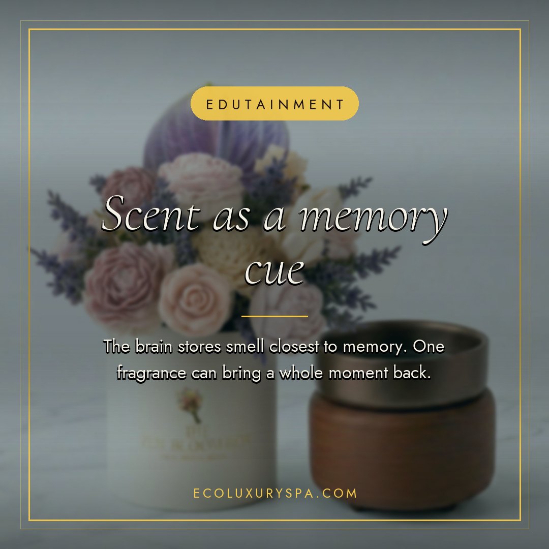 Scent as a memory cue