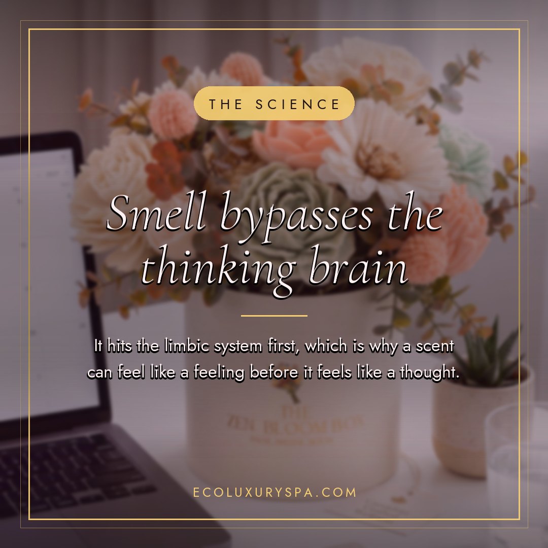 Scent as a memory cue slide 2