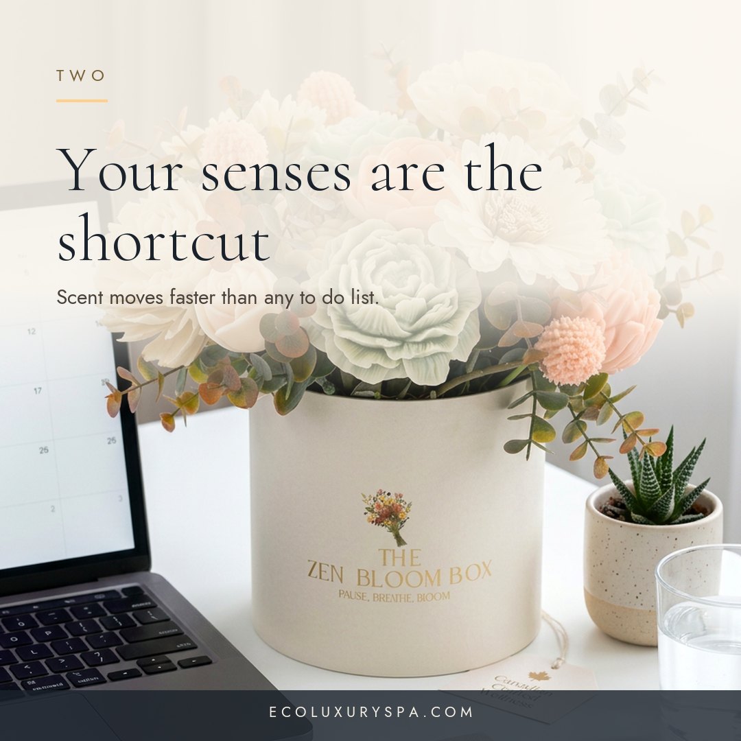 Lessons from a home that smells like calm slide 3