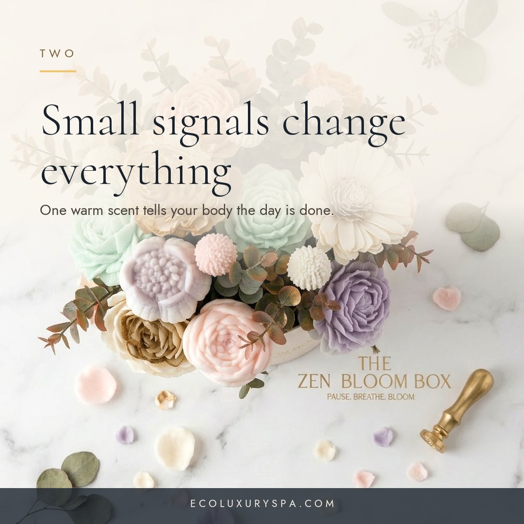 Lessons from calm, soothing scents slide 3