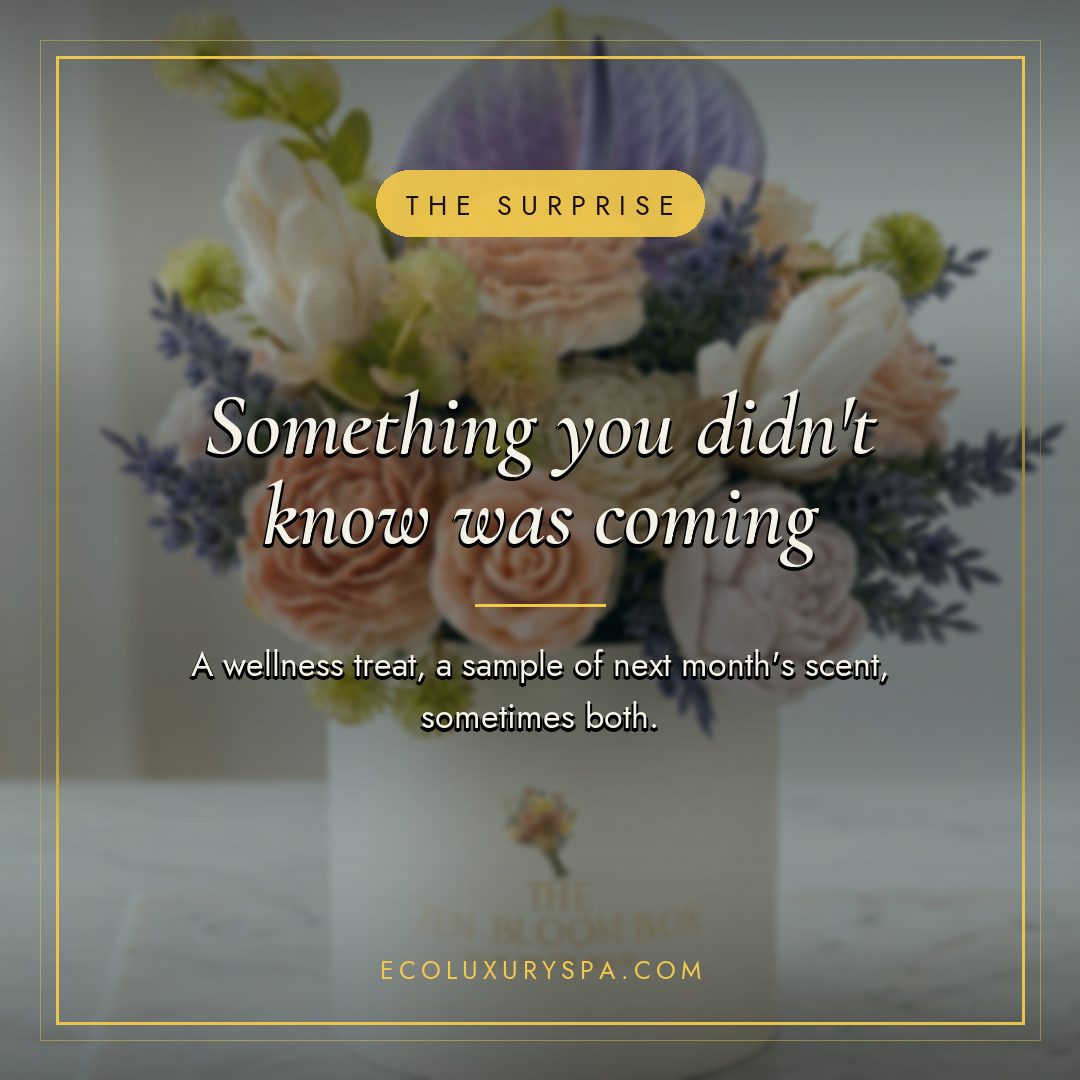 We added something extra. We always do. slide 2